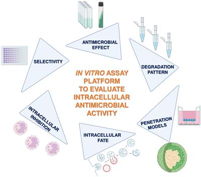 Novel Assay Platform to Evaluate Intracellular Killing of Mycobacterium tuberculosis: In Vitro and In Vivo Validation